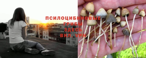 марихуана Киреевск