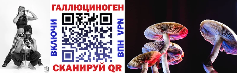 Псилоцибиновые грибы MAGIC MUSHROOMS  Купить где  Егорьевск 